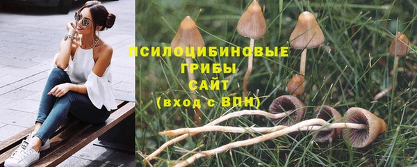 apvp Елабуга