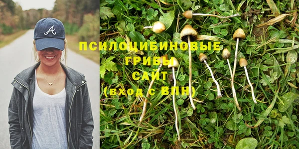 apvp Елабуга